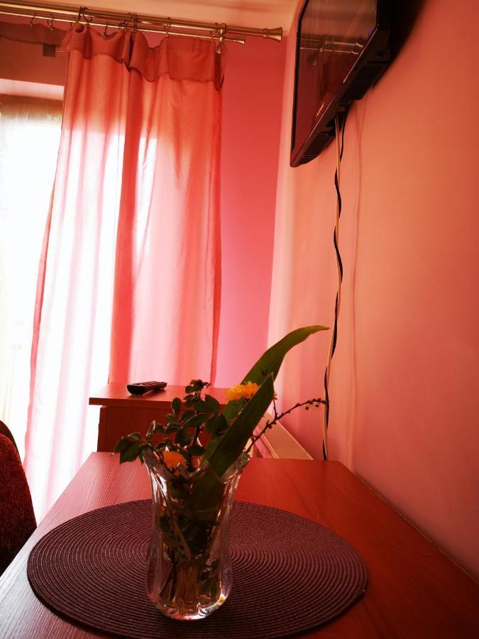 Agroturystyka W Dolinie Narwi Łomża Exterior foto